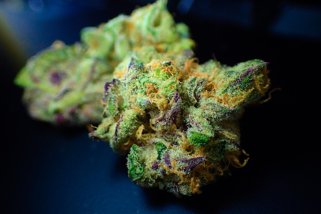 Guide to Medical Marijuana Card Renewal in Ohio