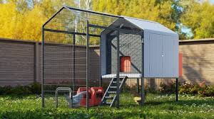 Transform Your Backyard: My Coop Innovations