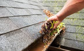 Gutter Cleaning by Bayside Exterior Cleaning in Thurston County