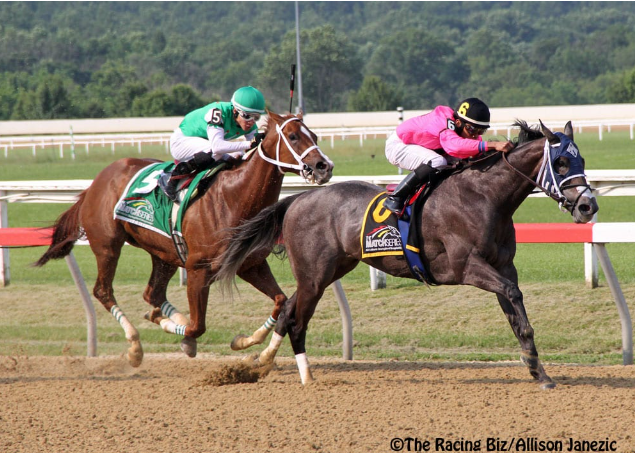 Parx Plans to Reopen Turf Racing in Mid-September