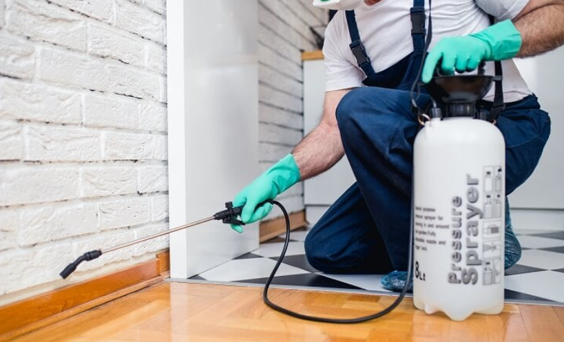 10 Benefits of regular pest control services in Vancouver