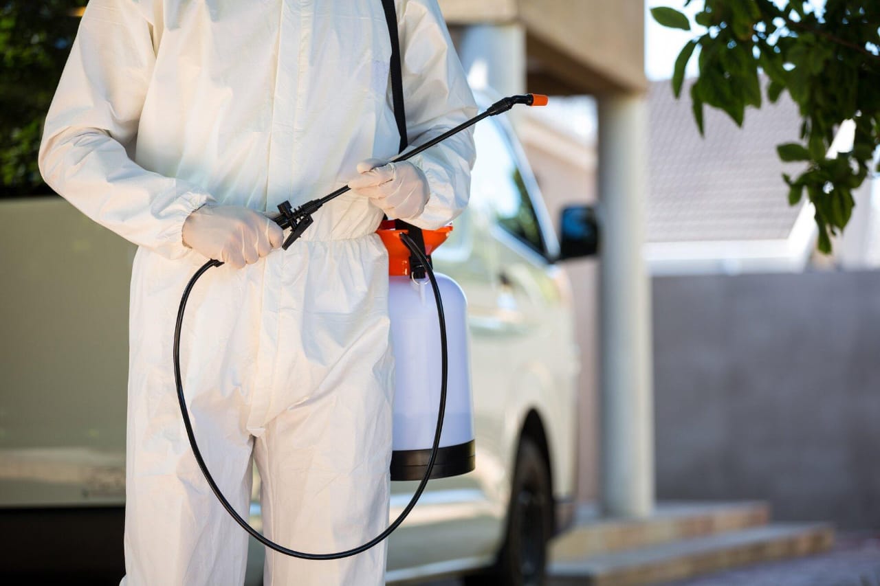 How to Create a Long Term Pest Control Plan for Your Property